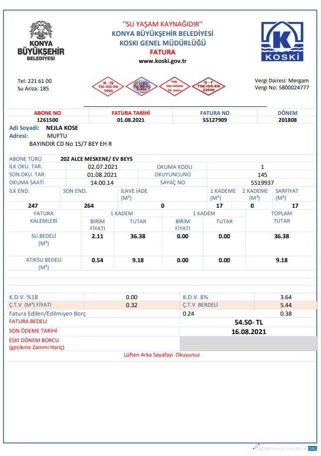download download Turkey water utility bill template in Word and PDF format PDF template PDF template
